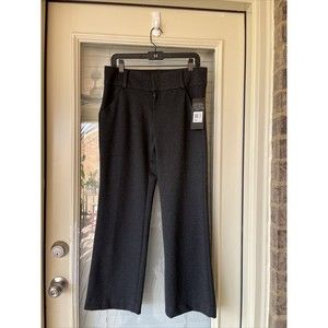 Daisy Fuentes Women's Size PM Gray Staight Leg Pants NWT
